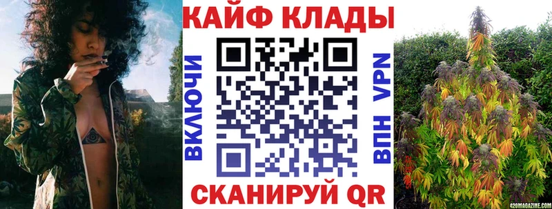 Магазины продажи наркотиков Киселёвск МДМА  Канабис  Cocaine 