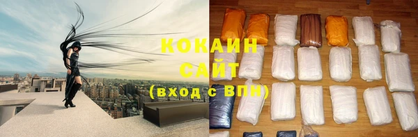 хмурый Касимов