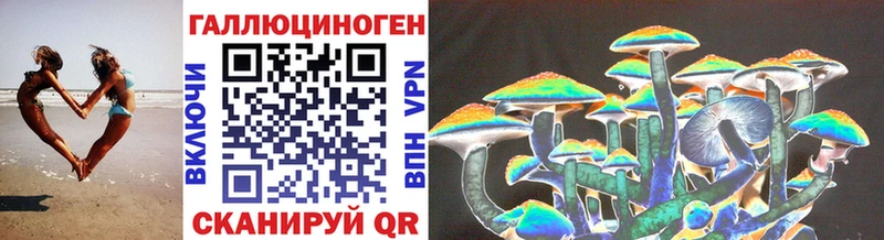 shop как зайти  Киселёвск  Галлюциногенные грибы ЛСД 